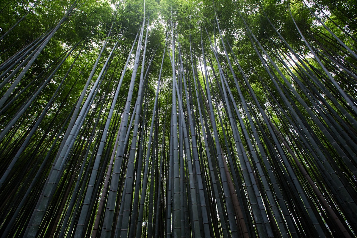 【 雖然我知道如果爆發喪屍的話，我會好快變成喪屍，但我估唔到會係咁快 】 【 中 】